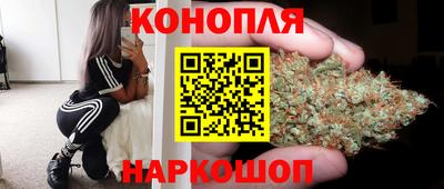 стаф Жуковский