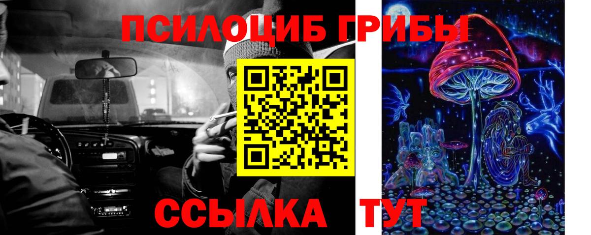 Евпатория  Псилоцибиновые грибы Cubensis  Вход с VPN 